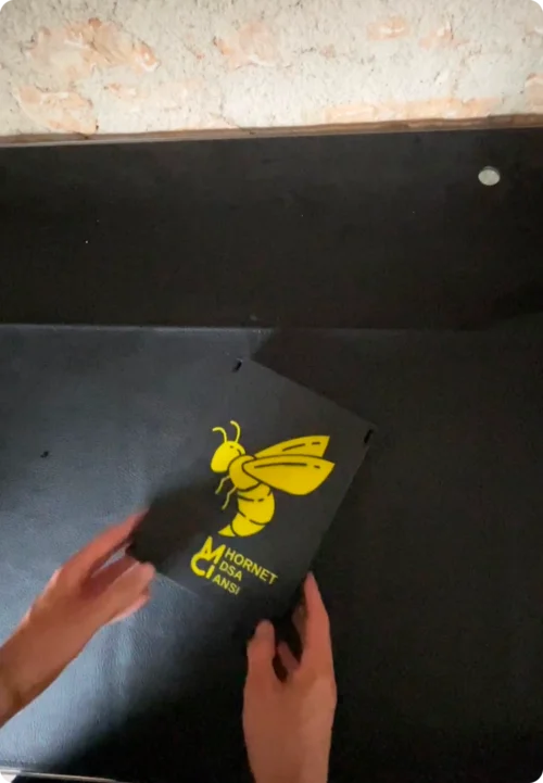 video hornet