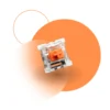Switch orange