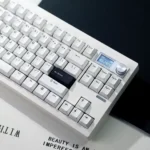 Clavier custom TKL