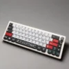 Clavier custom 65% et space bar T.Rex
