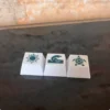 Touche turtle